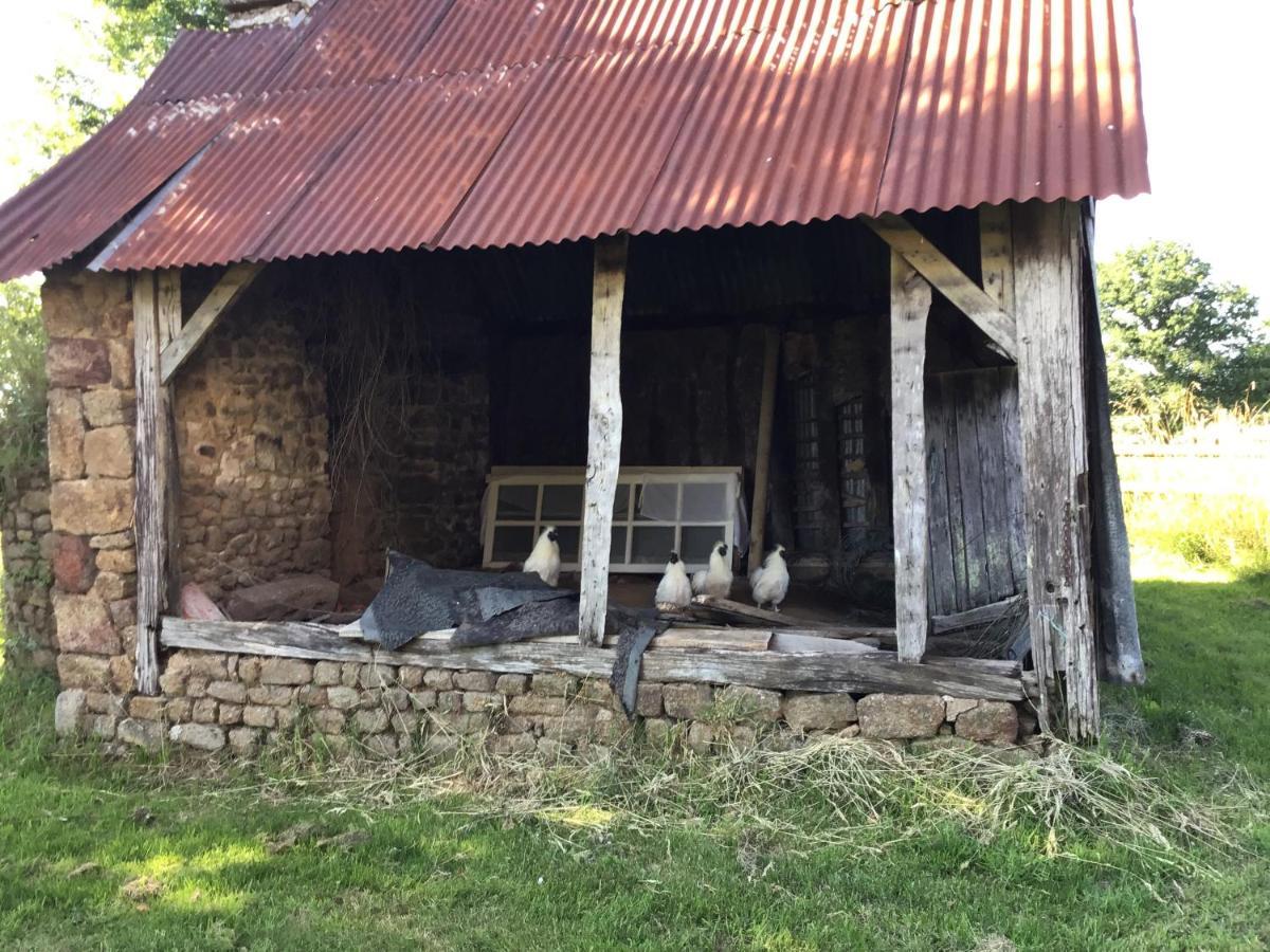 Ferienwohnung Les Petits Champs Buais-les-Monts Exterior foto